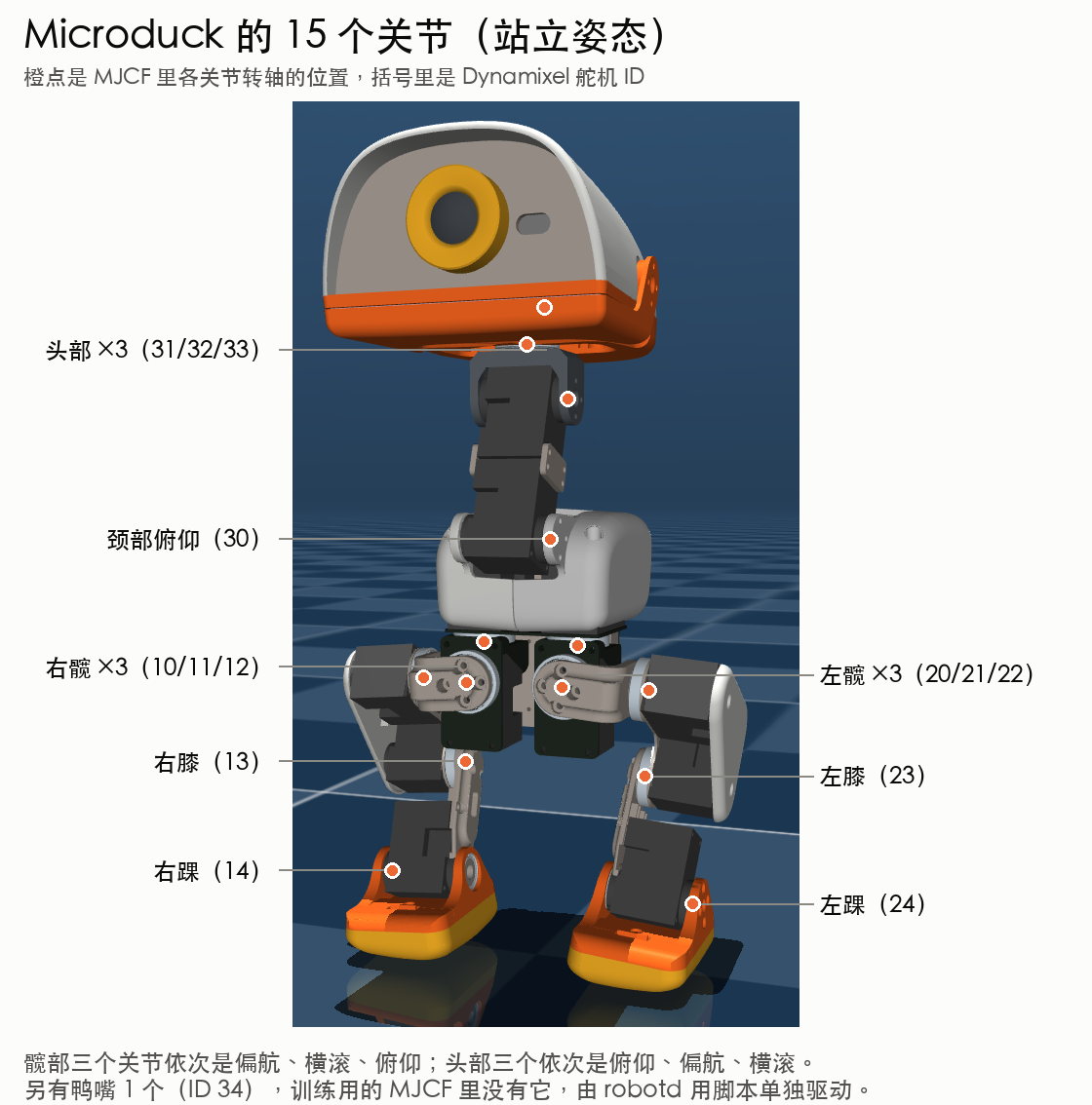 Microduck 15 个关节的位置和舵机 ID